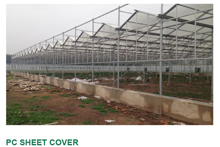 multi-span polycarbonate morden aluminium greenhouse with hydroponics system (4)