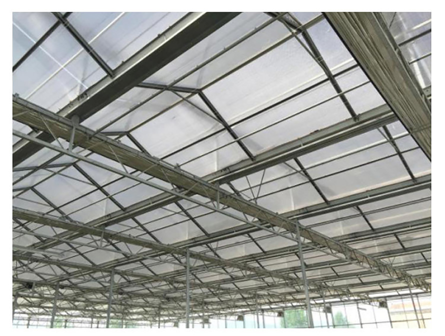 multi-span polycarbonate morden aluminium greenhouse with hydroponics system (5)