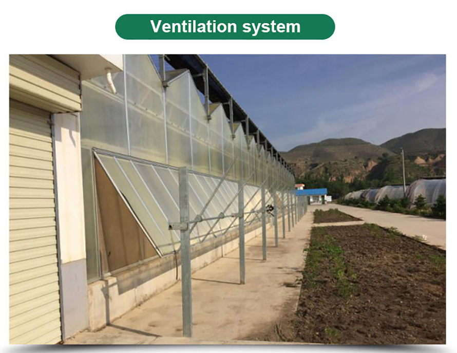 multi-span polycarbonate morden aluminium greenhouse with hydroponics system (7)