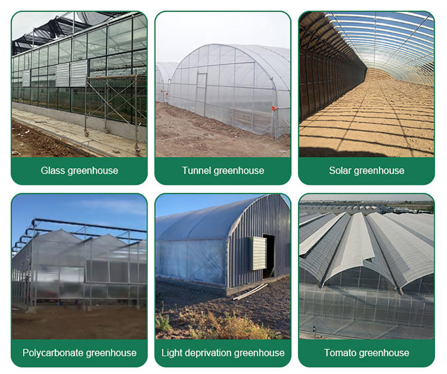 multi-span polycarbonate morden aluminium greenhouse with hydroponics system (12)